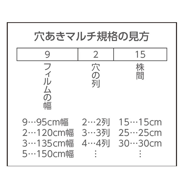 オリジナル国産白黒穴あきマルチ 厚さ0.021mm(規格9130X200m 孔径
