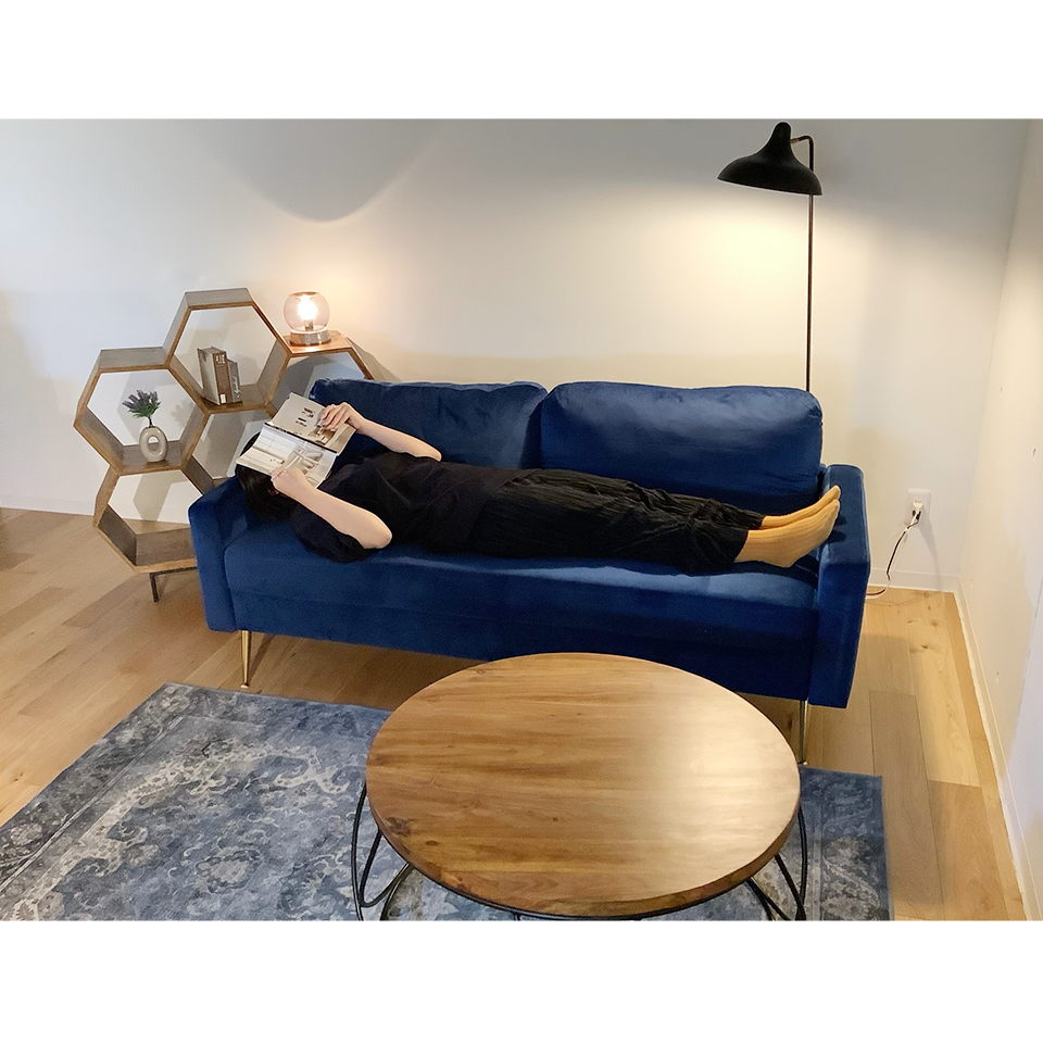 ソファPRM001 2人掛け【送料無料】ブルー | NOCEノーチェ 家具