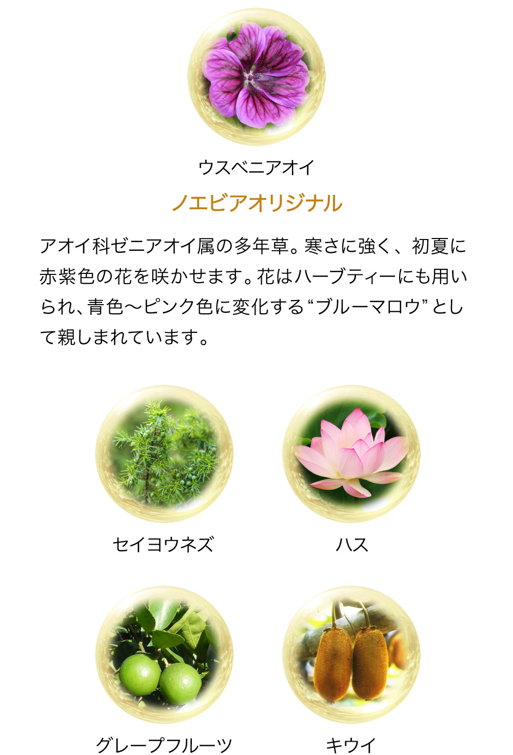 ビタミンACEと植物エキスを配合し、ノエビアが独自に開発した多重層