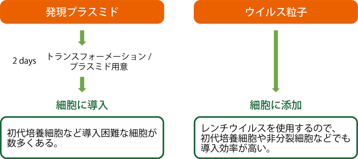 OriGene Technologies 社 Lenti ORF Particles | ナカライテスク株式会社