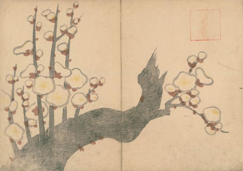 琳派が生み、本が伝えたかたち｜本の万華鏡 第20回 本でたどる琳派の