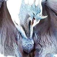 買取】イヴェルカーナ 「PS4ソフト モンスターハンターワールド