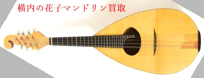 横内の花子マンドリン 買取 | 楽器買取センターDOREMI