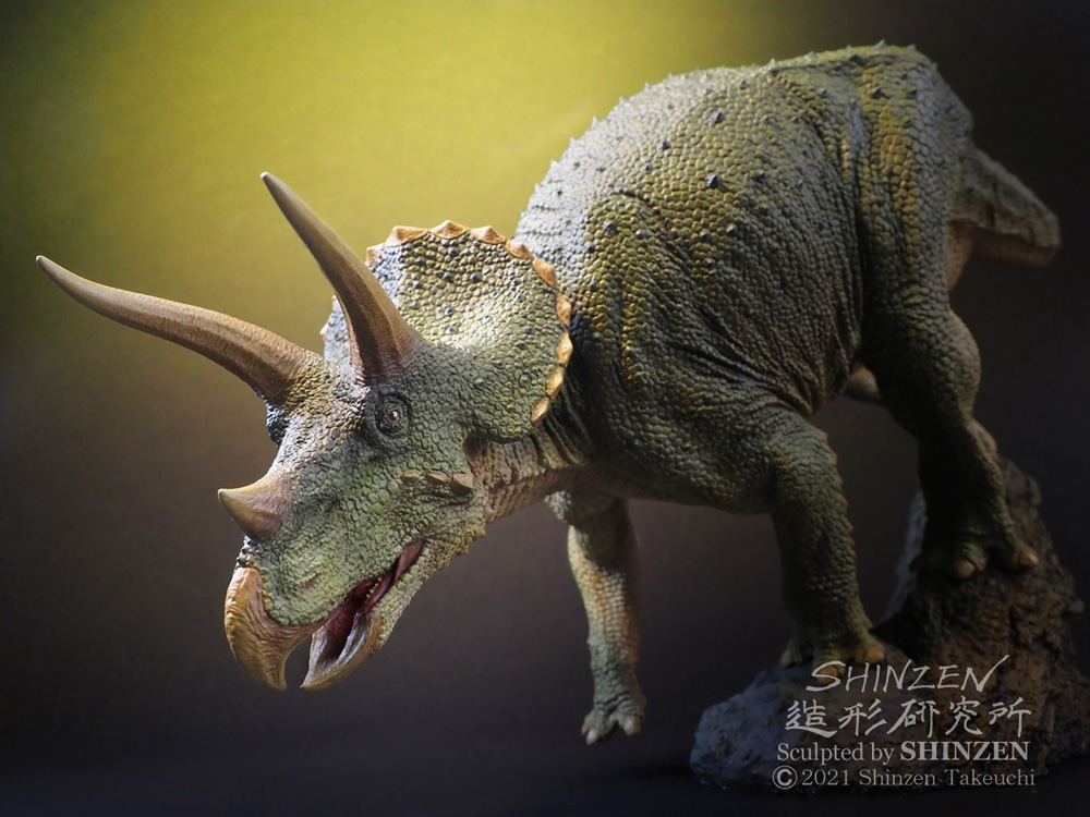 SHINZEN's Home Page (tricera2021)