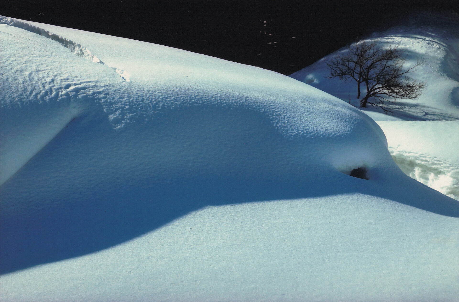 増田洋二 – 一般社団法人二科会写真部