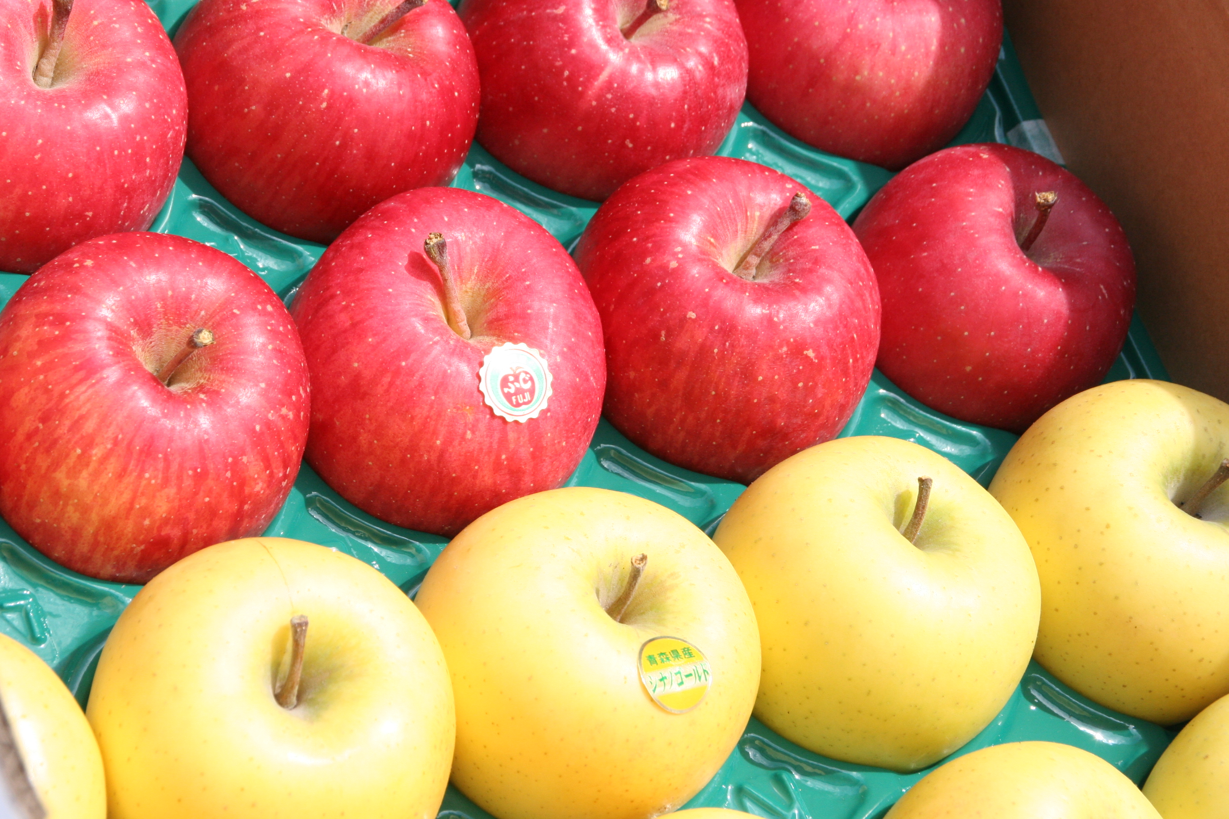 北国の風土と自然が育てた青森りんごの通販なら｜西村りんご園