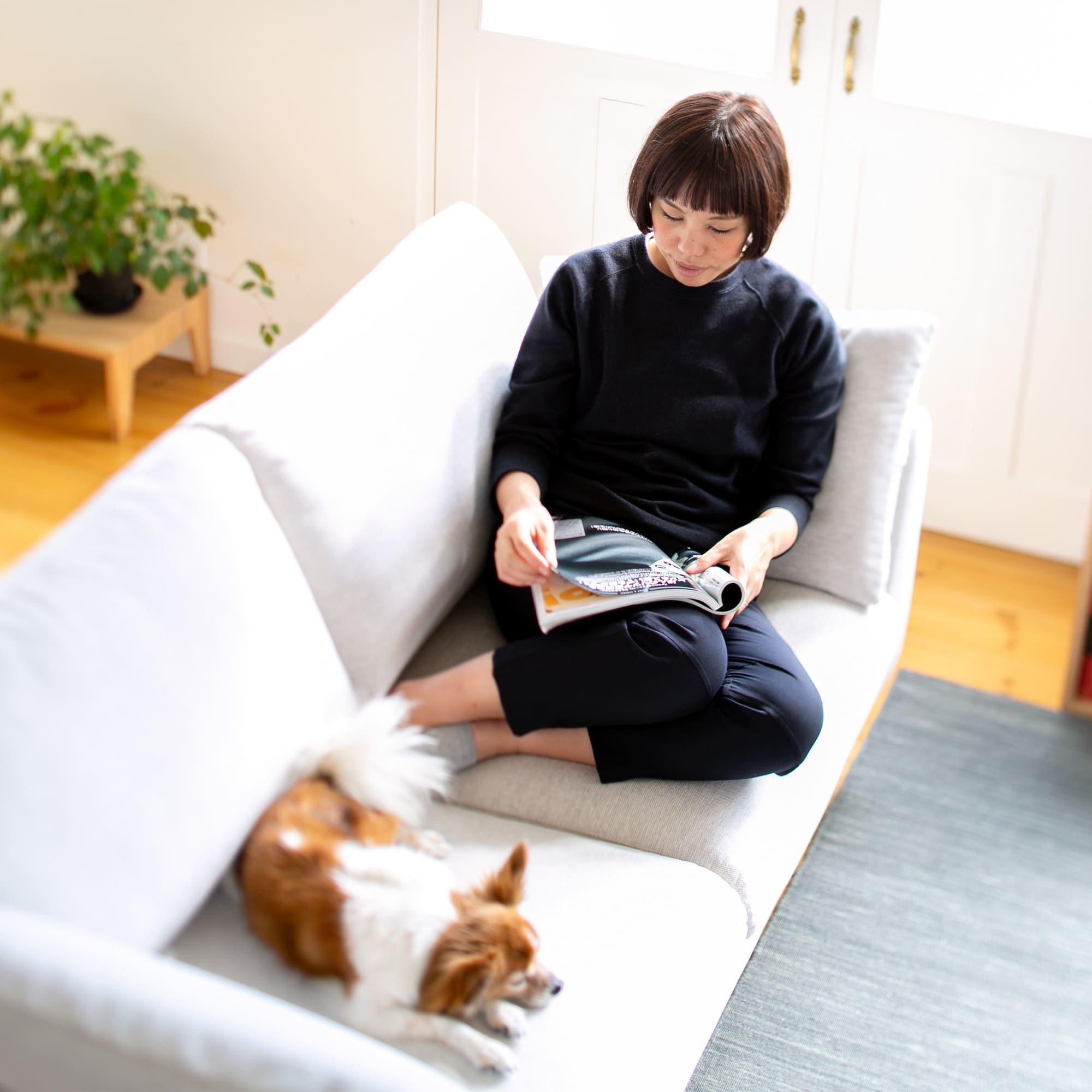 Cervo X5 2人掛け」 製品詳細ページ | 国産ソファブランド NOYES