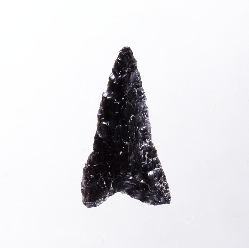 大型石鏃 | 静岡県埋蔵文化財センター