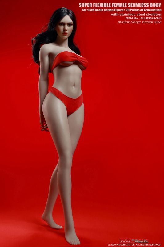 フィギュア専門店 -ソダチトイズ / TBLeague 1/6スケール 超柔軟性