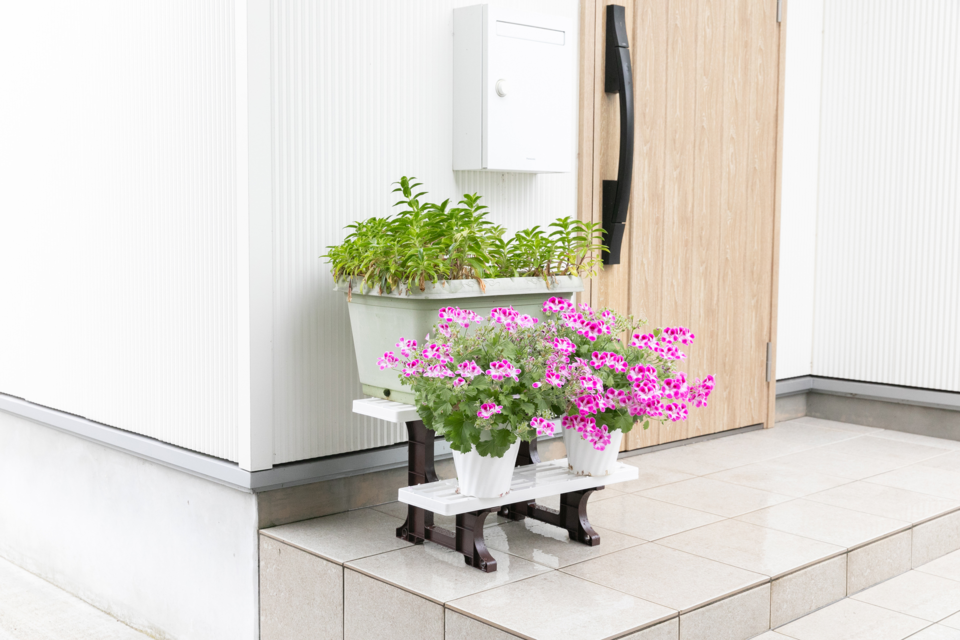 商品紹介｜フラワースタンド 2段 550 ツートン｜セーブ