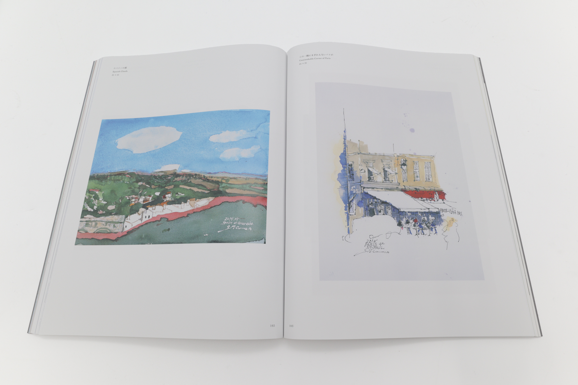 大場節子画集 夢のかなたに眠るものたちよ｜青幻舎 SEIGENSHA Art