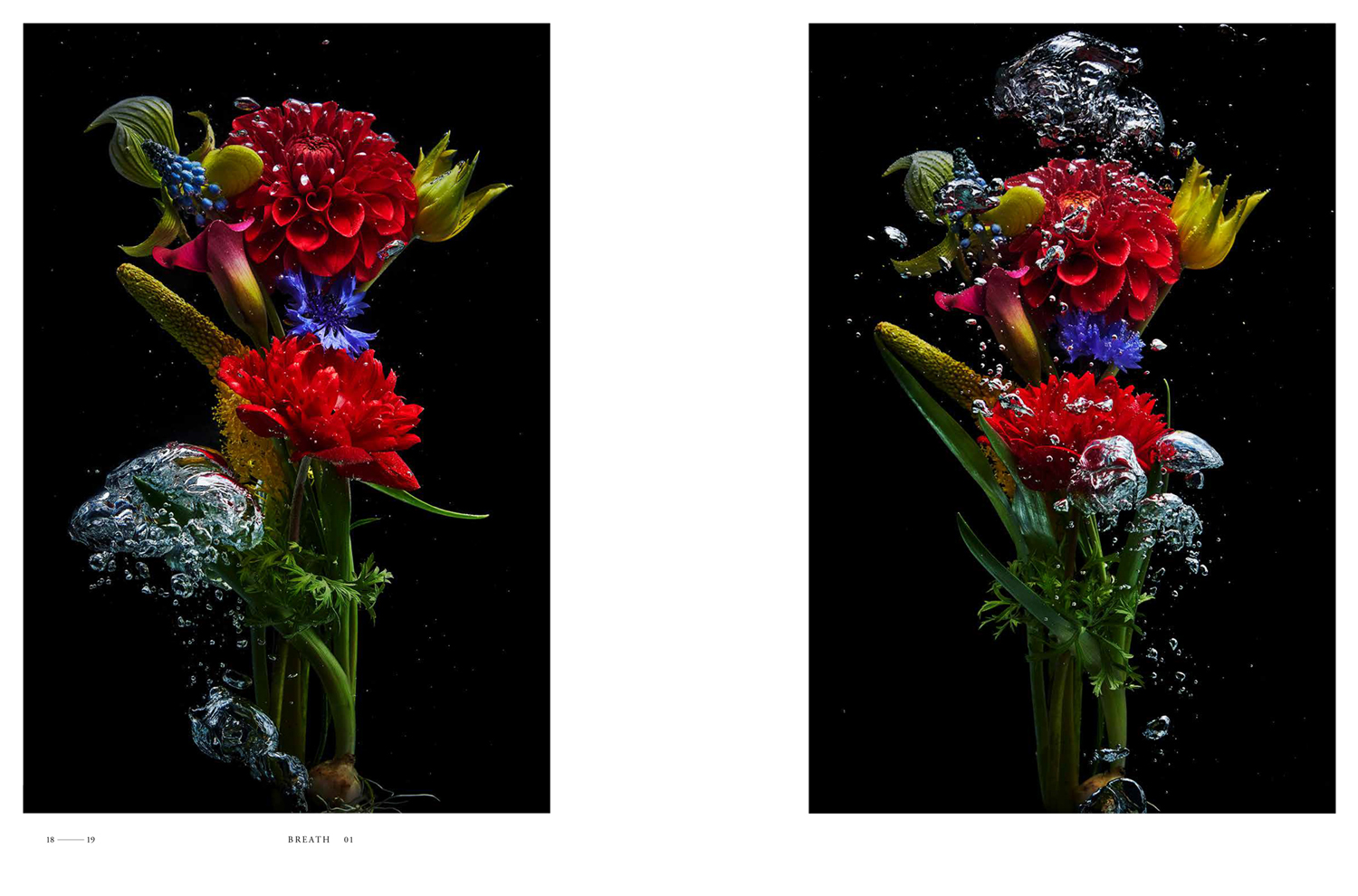 30th_book001 | 創立30周年記念特設サイト |青幻舎