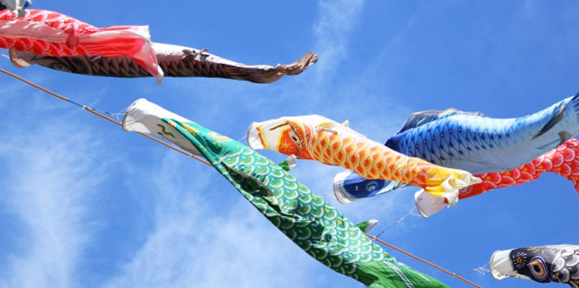 端午の節句 茶道具特集 | 千年の香り 千紀園