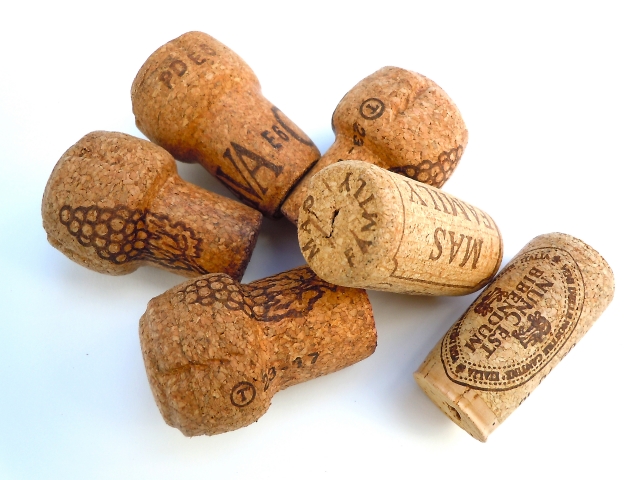 ワインコラム | 島根ワイナリー