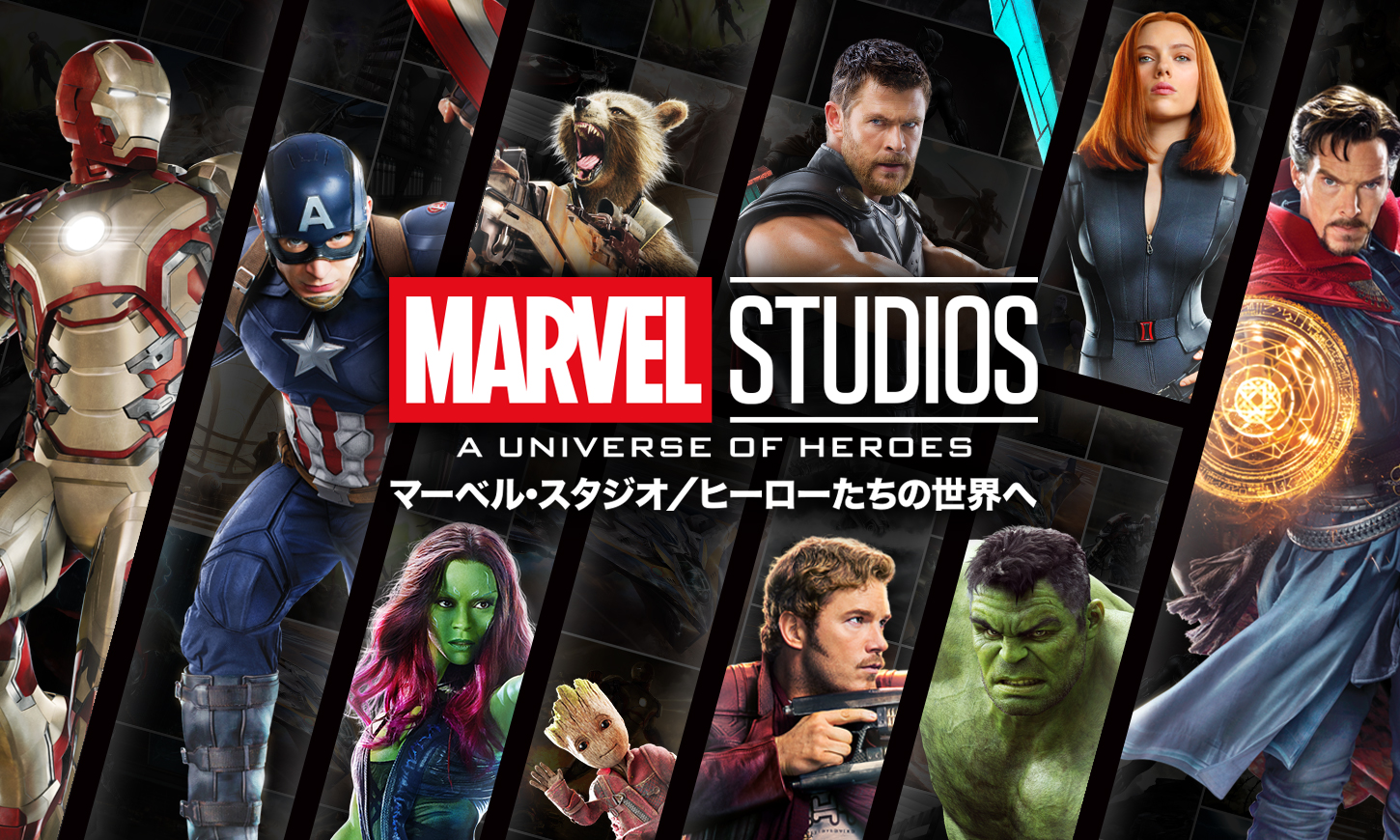 MARVEL STUDIOS：A UNIVERSE OF HEROES マーベル・スタジオ／ヒーロー