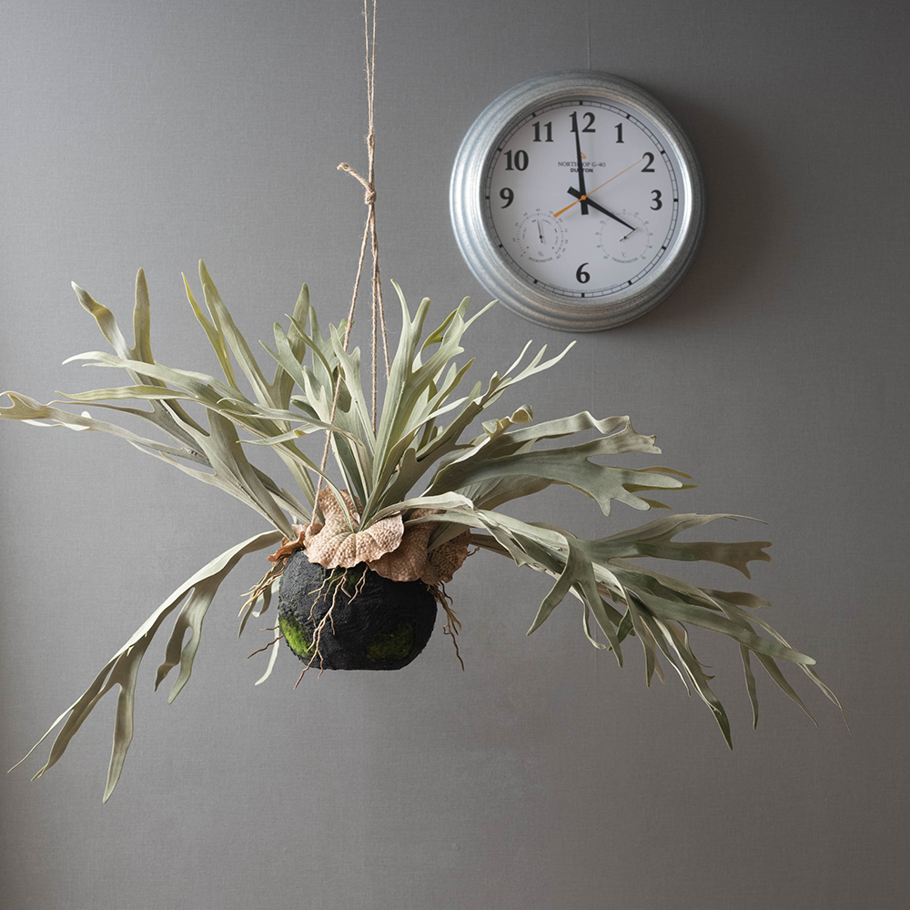 フェイクグリーン「ハンギングプランツ コウモリラン L」｜インテリア