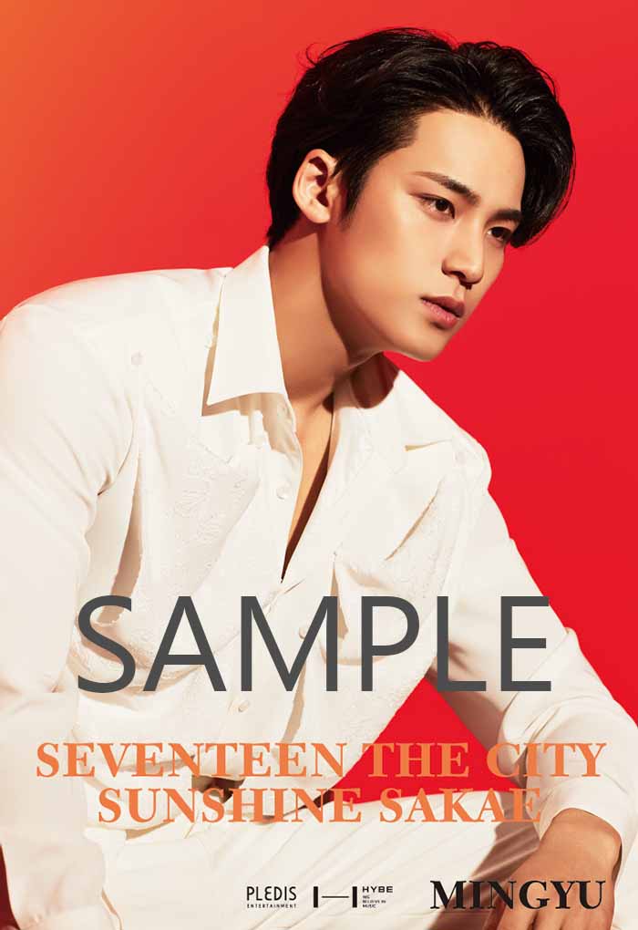 SEVENTEEN THE CITY SUNSHINE SAKAE