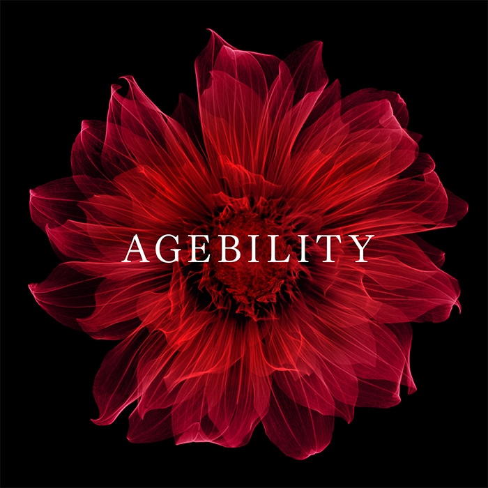 B.A ブルーミングダリアボックス(ローション 本品セット): 商品詳細