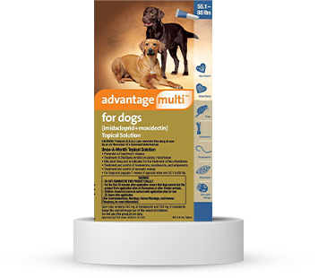 Buy Advantage Multi (Advocate) Medium Dogs 9.1-20 Lbs (Aqua