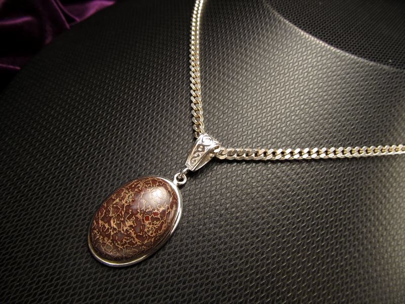 ☆激レア！限定入荷☆太古のロマン☆恐竜の骨の化石『ダイナソーボーン