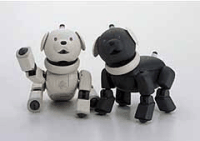 ソニーの“AIBO”、素直でおっとりの「ラッテ」と陽気でやんちゃな