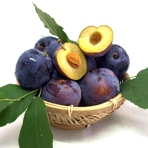 ツアー（約2kg） | 高見澤プルーン園