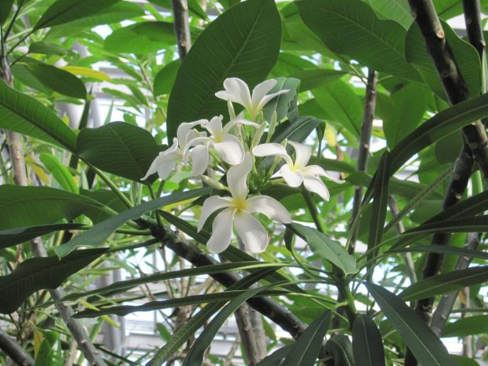 おすすめ情報令和元年6月14日／京都府ホームページ