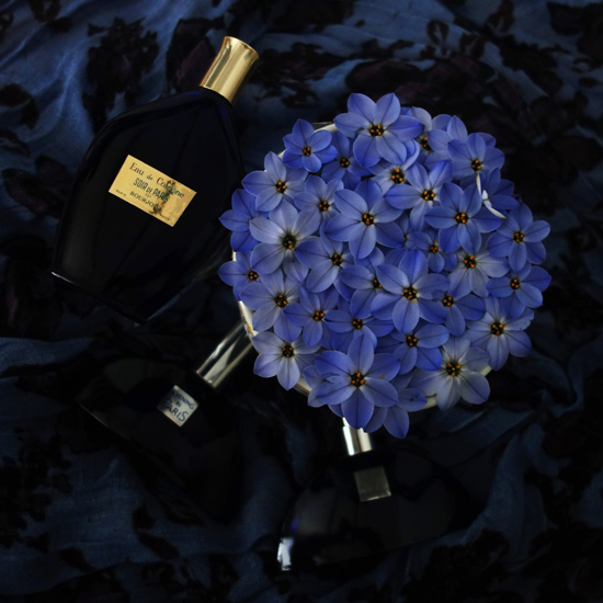 Soir De Paris / ソワール・ド・パリ