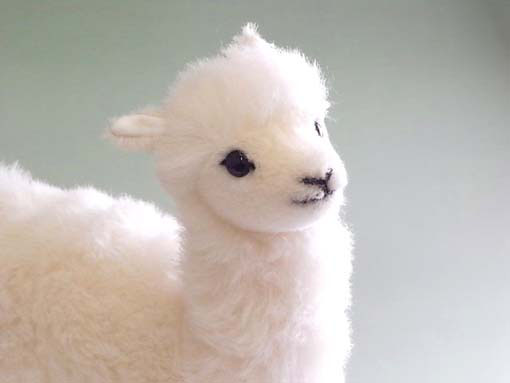 木のおもちゃ カルテット / アルパカ（ぬいぐるみ）ドイツ・ケーセン社