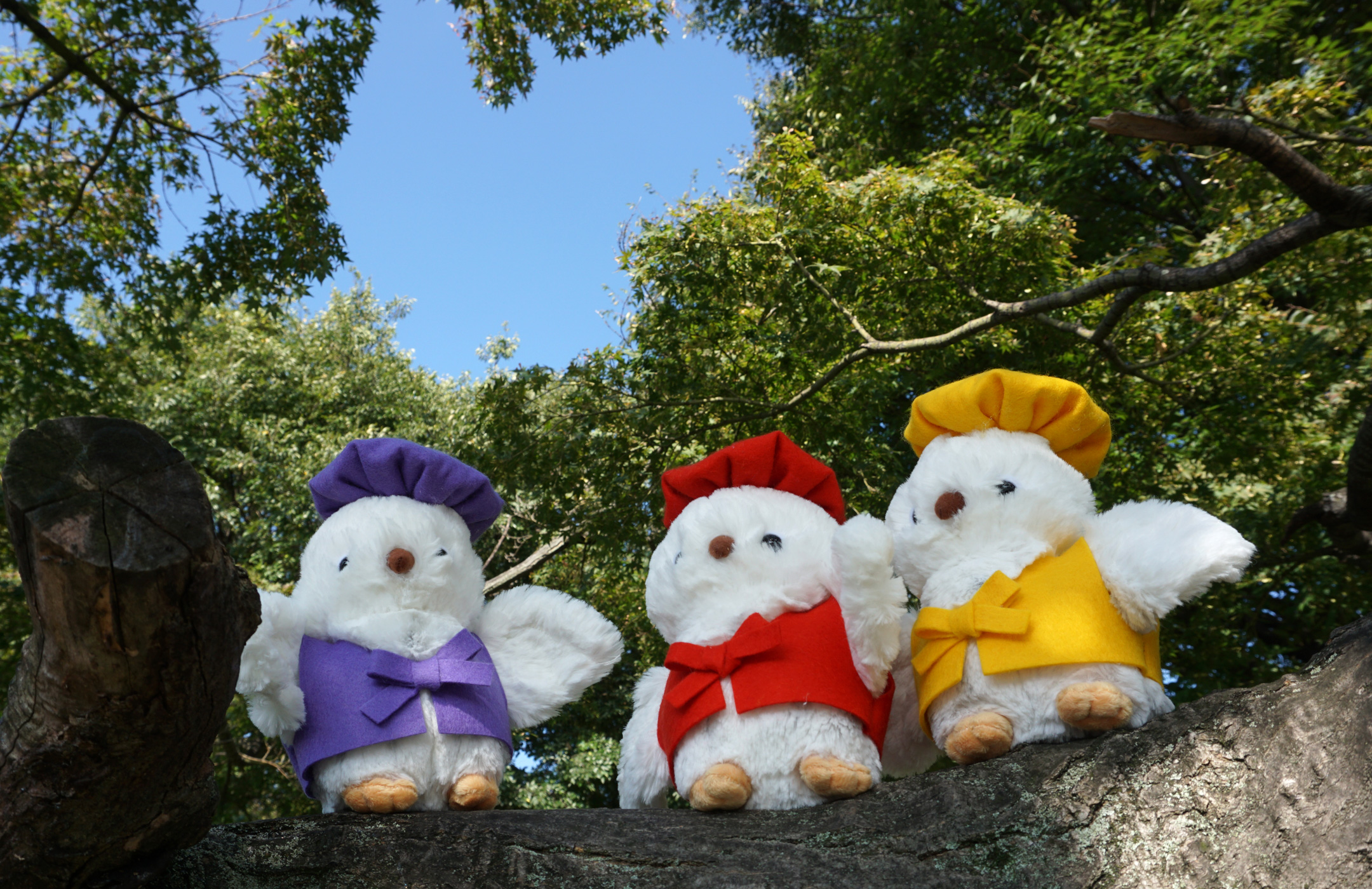 長寿祝い（還暦・古希・喜寿・傘寿・米寿・卒寿などのお祝い）花