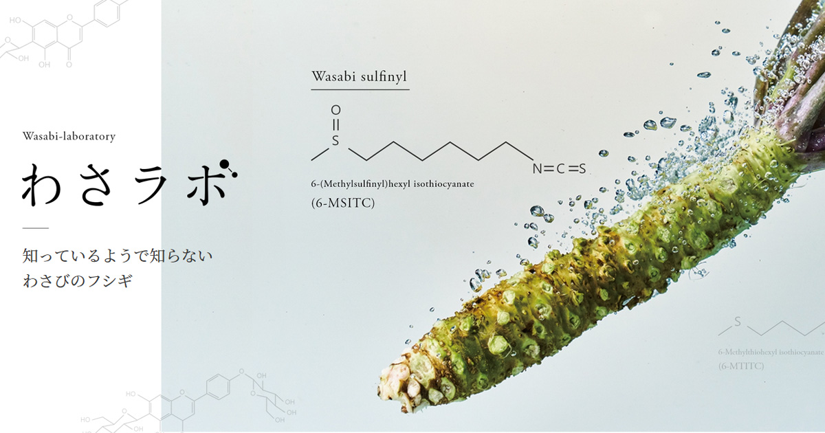 わさ研 | 【公式】わさラボ | 知ってるようで知らないわさびのフシギ