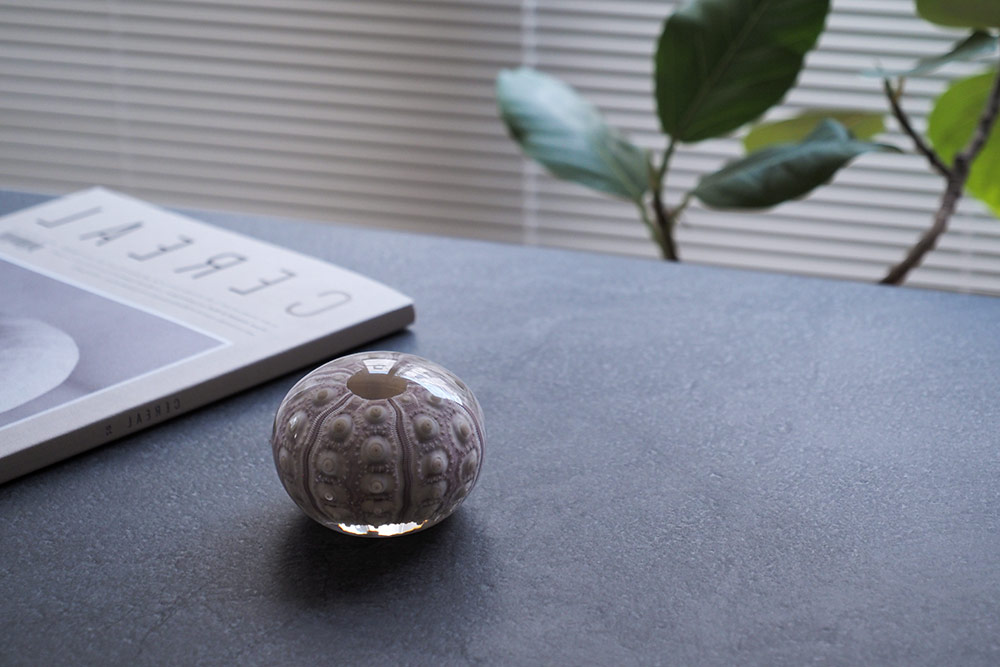 Unimaru ウニマル（バクダンウニ）/ Usagi no Nedoko ウサギノネドコ