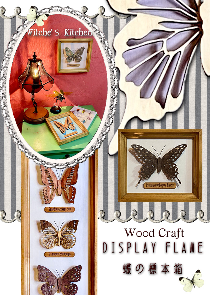 ウィッチーズキッチンのアートフレーム 【 蝶の標本箱 butterfly