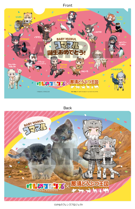 那須どうぶつ王国と「けものフレンズ」コラボ企画 「マヌルネコ」の