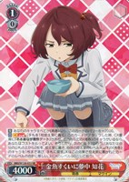 カードを買う/ヴァイスシュヴァルツ/2025年度作品/負けヒロインが多