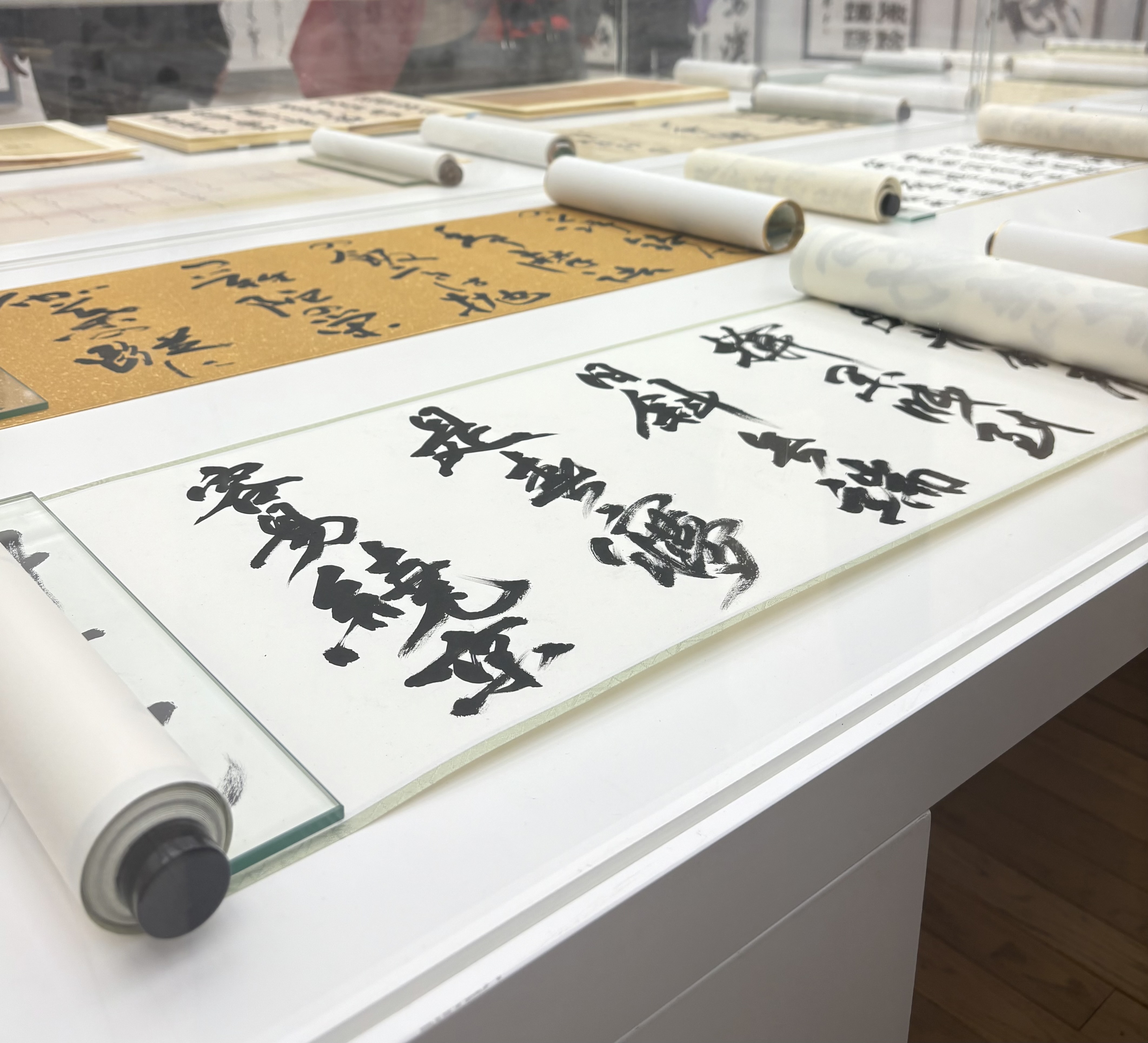 日本語日本文学科】書道コース3回生三浦愛華さんが第118回日展第5科