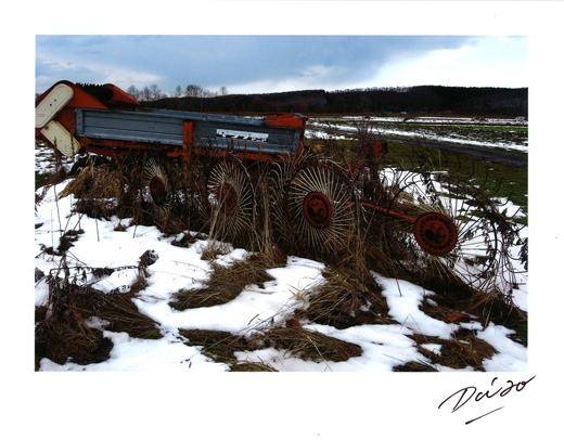森山大道,Daido Moriyama|@GALLERY TAGBOAT