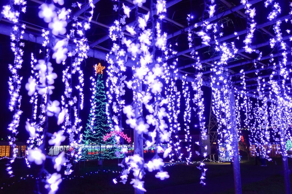 藤島イルミネーション【～2026年1月12日】 – つるおか観光ナビ