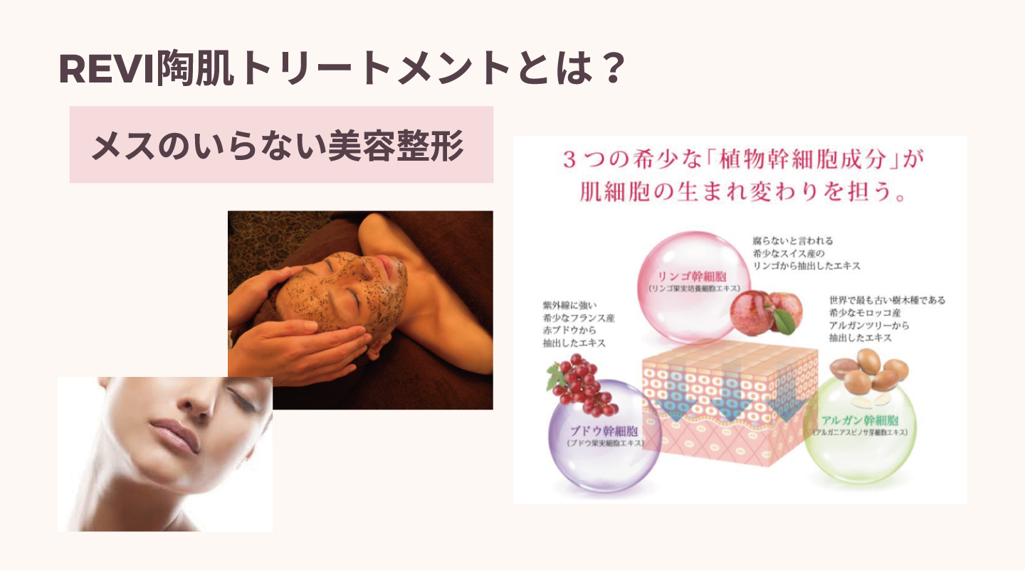 次世代ハーブピーリング(REVI)代理店・導入について - 【フォセット