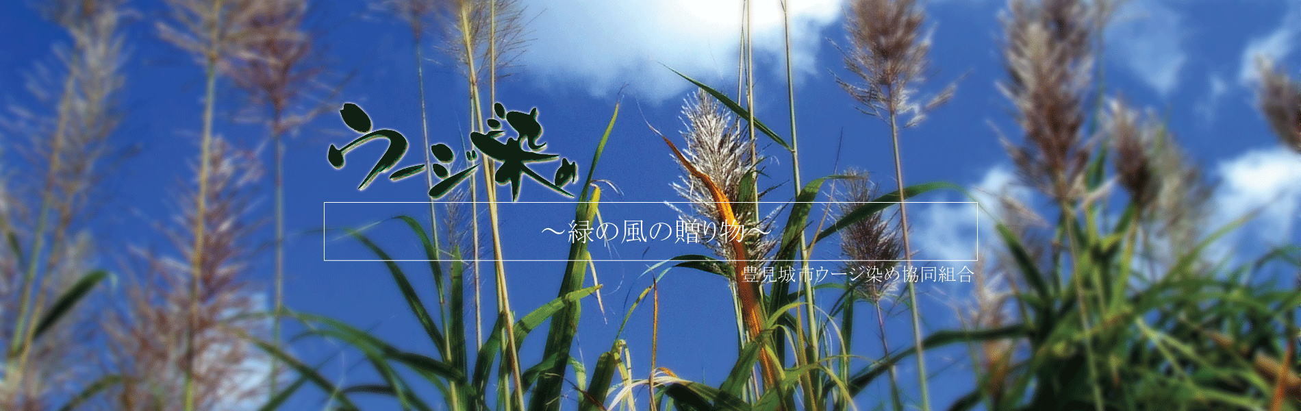 ウージタペストリー＆のれん | 豊見城市ウージ染め協同組合