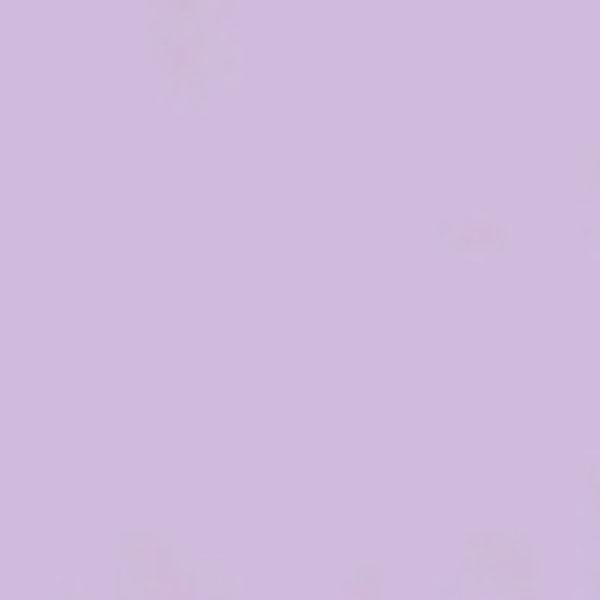 UCHIDASウチダスやよいカラー 8切100枚入 うすむらさき: 学習