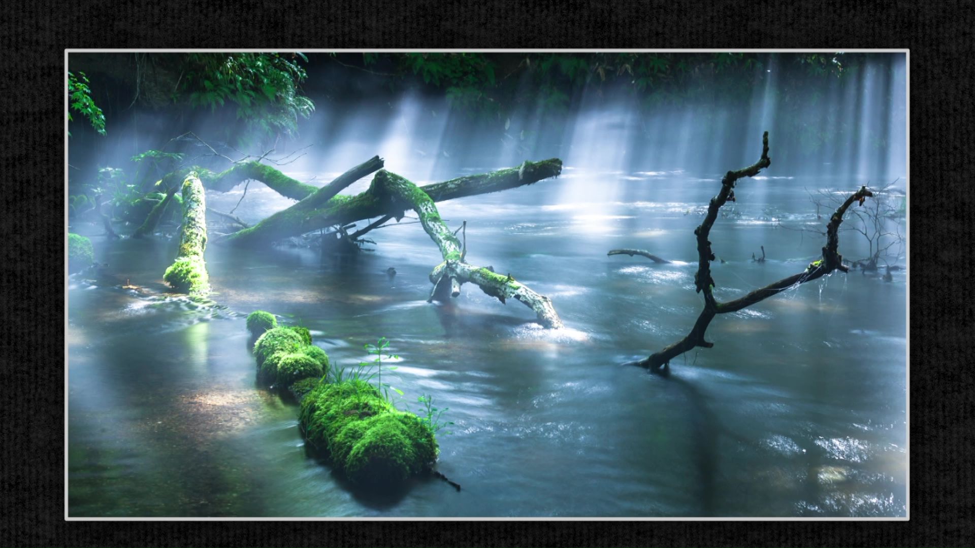 北海道の知られざる絶景2025】“奇跡の一瞬”を追い続ける風景写真家