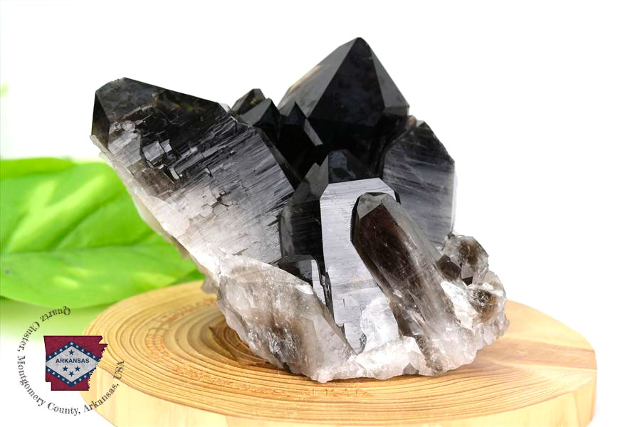 アーカンソー産 黒水晶（スモーキークォーツ）クラスター原石｜原産地