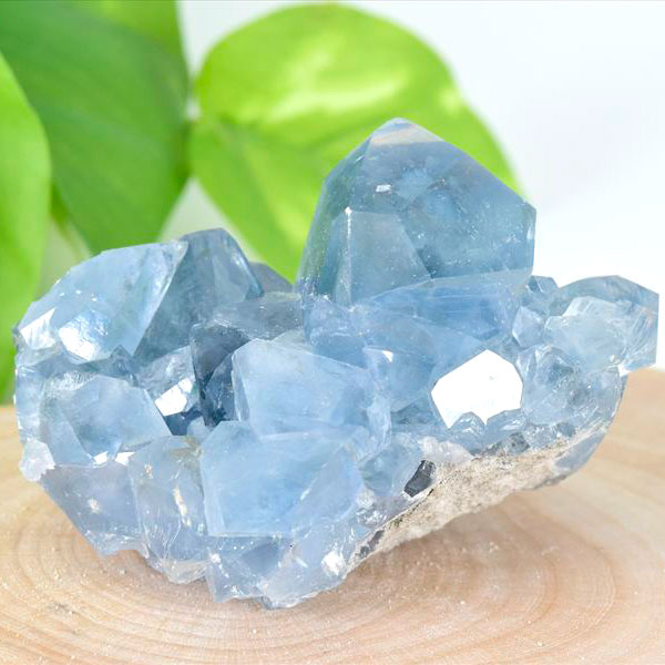 マダガスカル産 セレスタイト クラスター 原石｜天青石｜浄化
