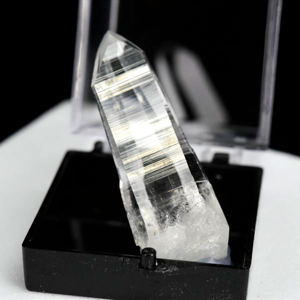 ホホジロザメ 歯 牙 化石｜サメの歯（約7.6g）｜モロッコ産