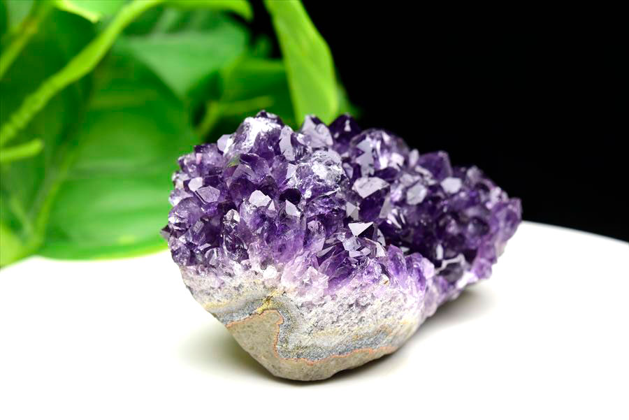 フラワーアメジスト クラスター 原石 ウルグアイ産 紫水晶 スタラクタイト