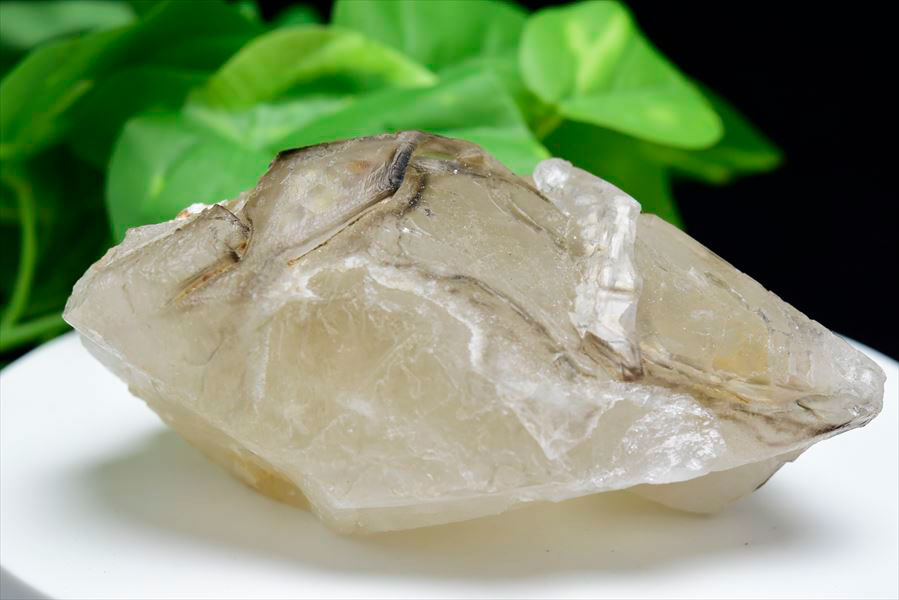 アリゲータークォーツ（ジャカレー水晶）エレスチャル 原石｜アップ