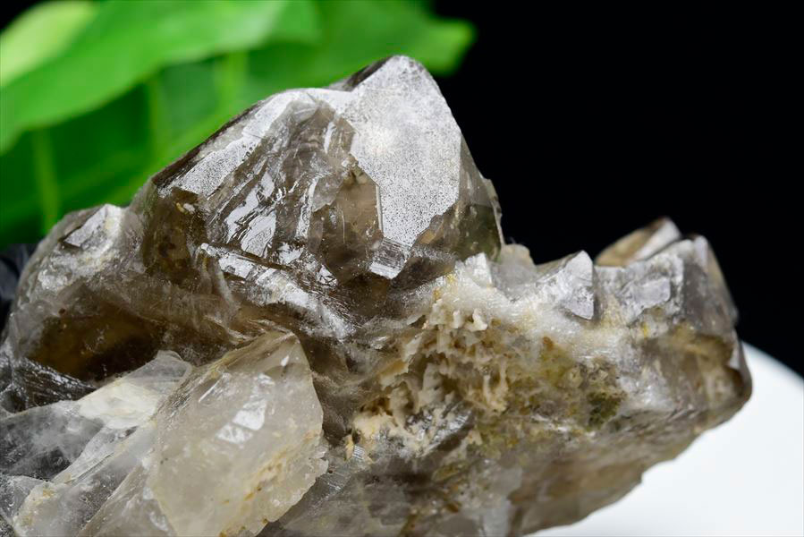 アリゲータークォーツ（ジャカレー水晶）エレスチャル 原石｜アップ