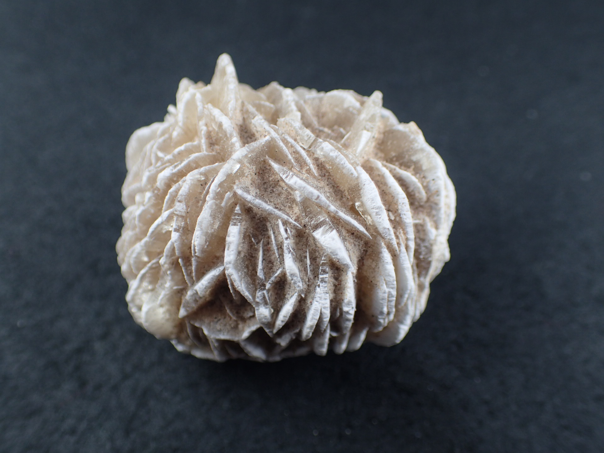 砂漠の薔薇（デザートローズ） モロッコ・サハラ砂漠 産 ｜石の販売