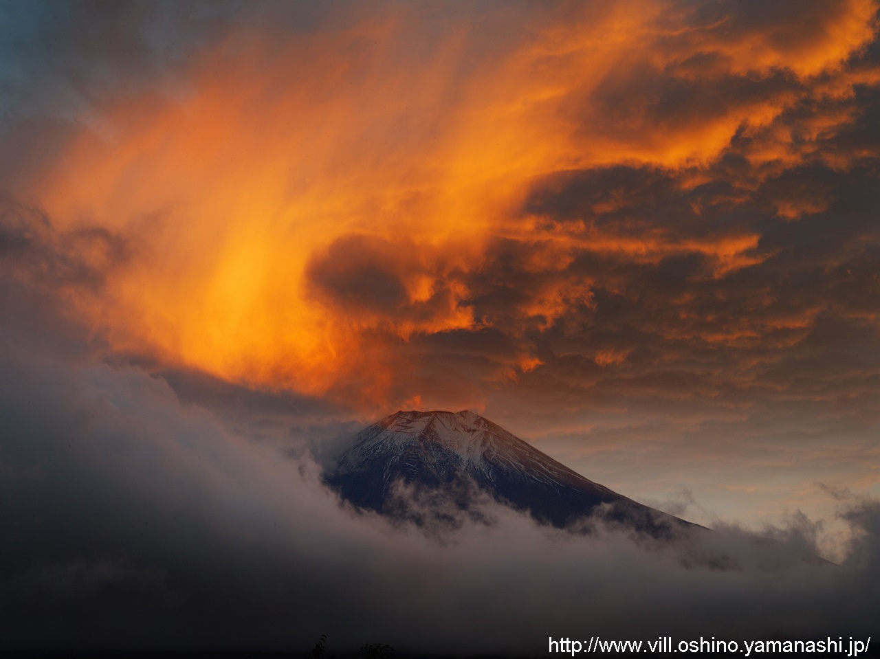2021年 - 観光情報 - 忍野村（観光産業課）
